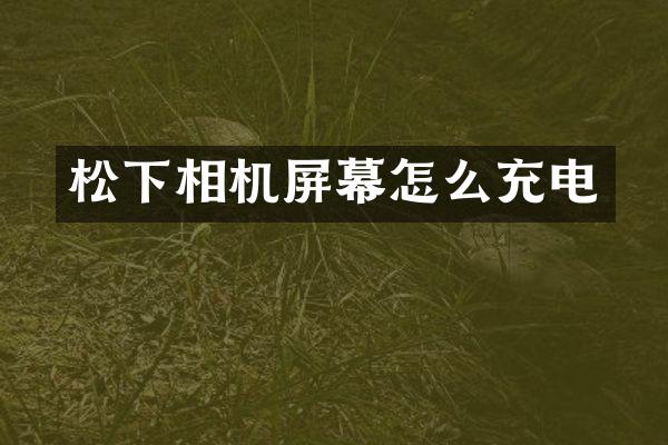相机屏幕怎么充电