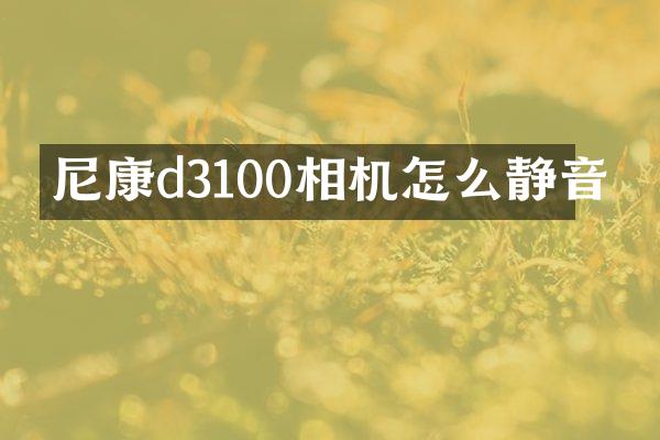 尼康d3100相机怎么静音