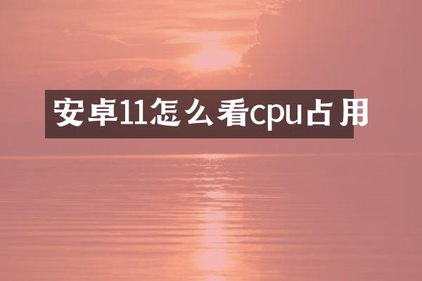 安卓11怎么看cpu占用
