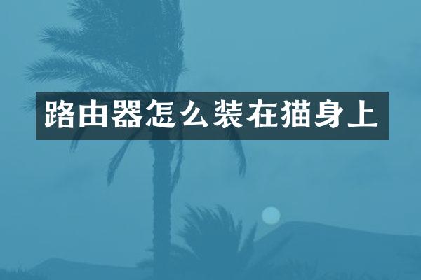 路由器怎么装在猫身上