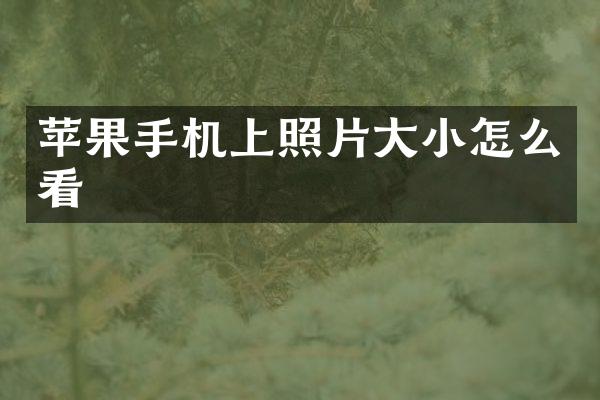 苹果手机上照片大小怎么看