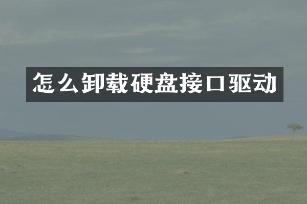 怎么卸载硬盘接口驱动