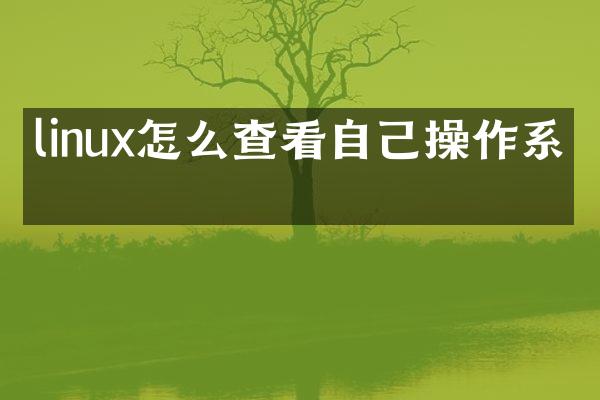 linux怎么查看自己操作系统