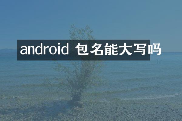 android 包名能大写吗