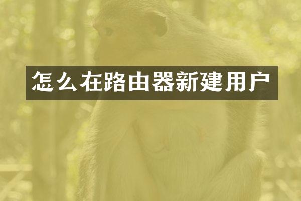 怎么在路由器新建用户