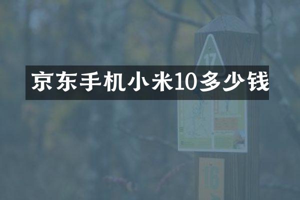 京东手机小米10多少钱