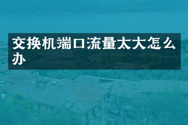 交换机端口流量太大怎么办