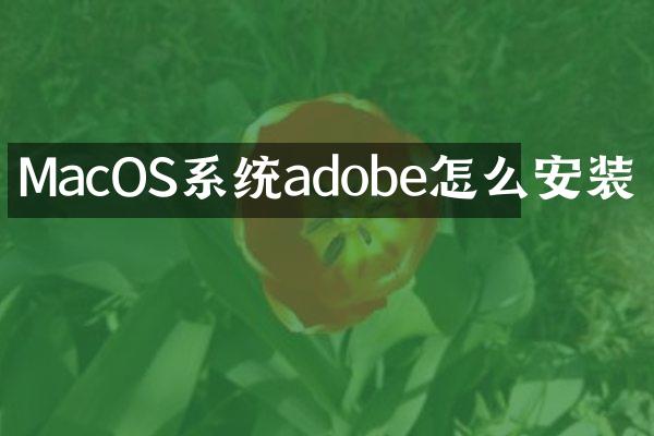 MacOS系统adobe怎么安装