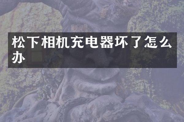相机充电器坏了怎么办