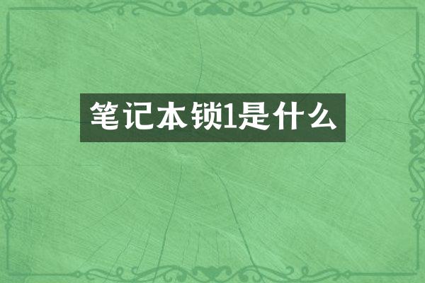 笔记本锁1是什么