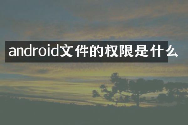 android文件的权限是什么