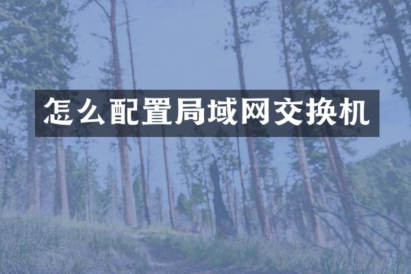 怎么配置局域网交换机