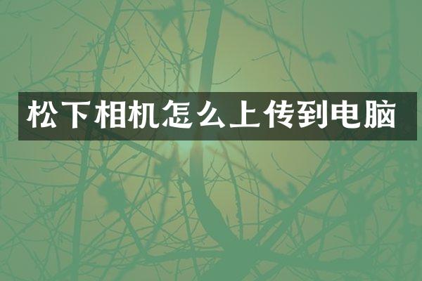 相机怎么上传到电脑