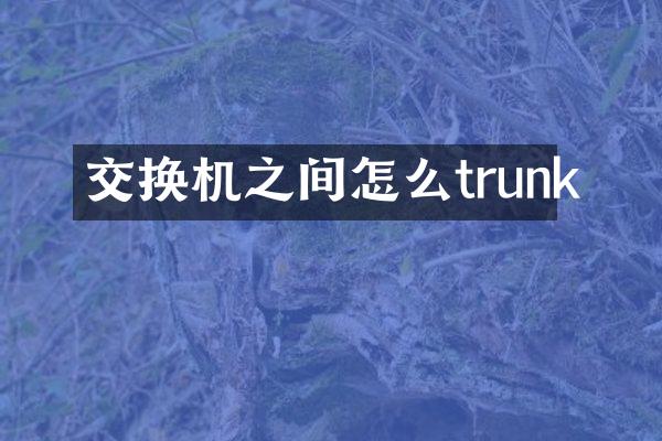 交换机之间怎么trunk