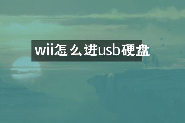 wii怎么进usb硬盘