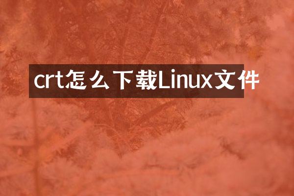 crt怎么下载Linux文件