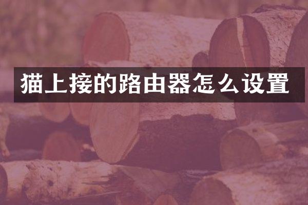猫上接的路由器怎么设置