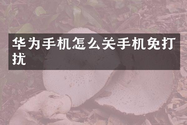 华为手机怎么关手机免打扰