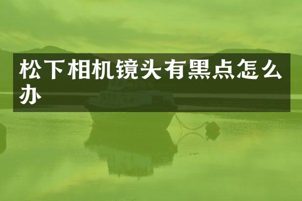 相机镜头有黑点怎么办