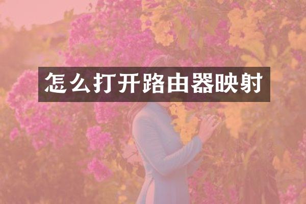 怎么打开路由器映射