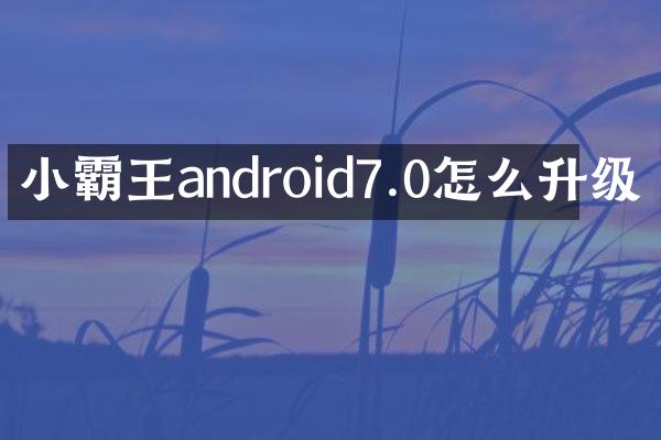 小霸王android7.0怎么升级