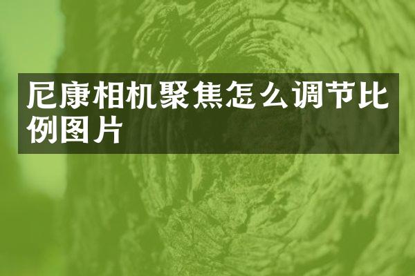 尼康相机聚焦怎么调节比例图片