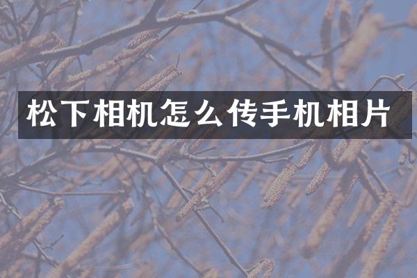 相机怎么传手机相片