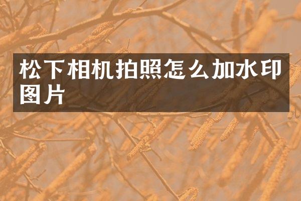 相机拍照怎么加水印图片