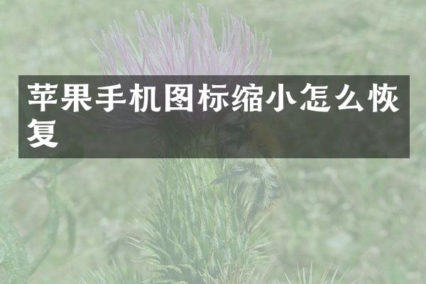 苹果手机图标缩小怎么恢复