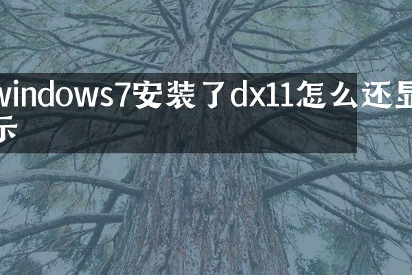 windows7安装了dx11怎么还显示