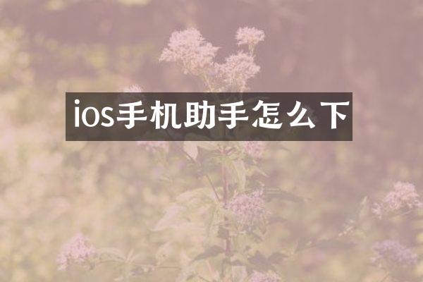 ios手机助手怎么下