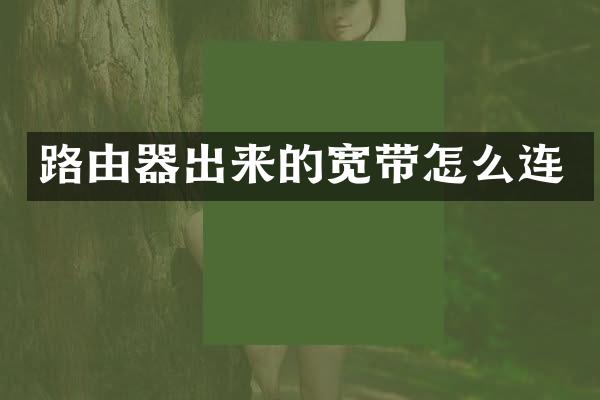 路由器出来的宽带怎么连
