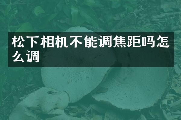 相机不能调焦距吗怎么调