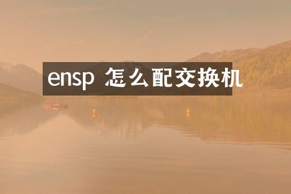 ensp 怎么配交换机
