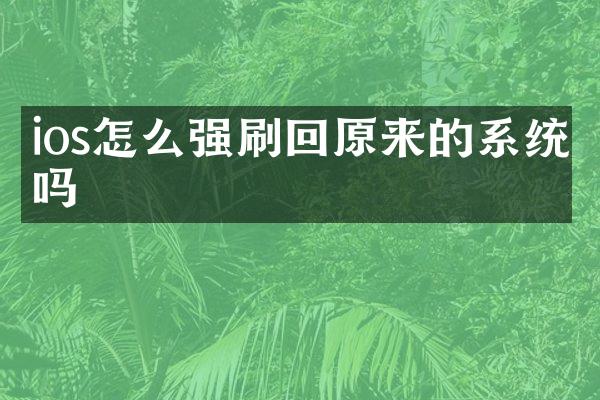 ios怎么强刷回原来的系统吗