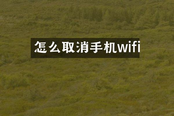 怎么取消手机wifi