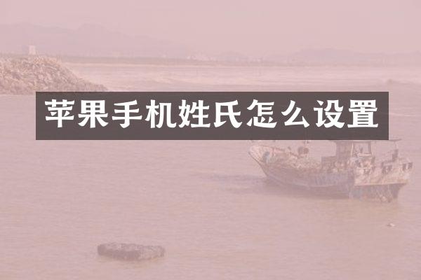 苹果手机姓氏怎么设置