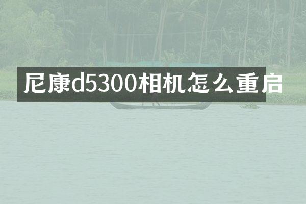 尼康d5300相机怎么重启