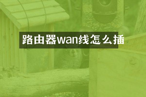 路由器wan线怎么插