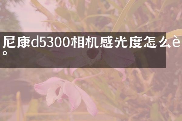 尼康d5300相机感光度怎么调