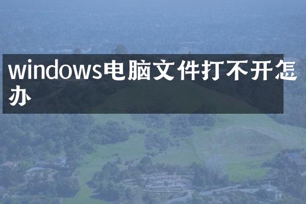 windows电脑文件打不开怎么办