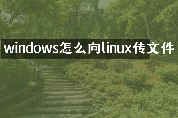 windows怎么向linux传文件