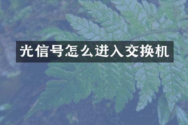 光信号怎么进入交换机