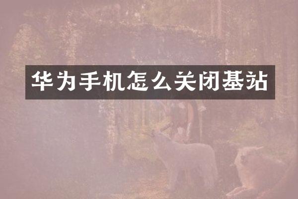 华为手机怎么关闭基站
