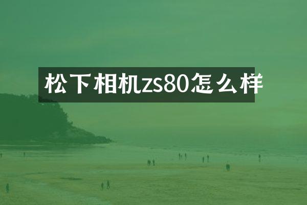 相机zs80怎么样