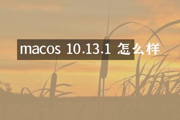 macos 10.13.1 怎么样