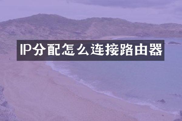 IP分配怎么连接路由器