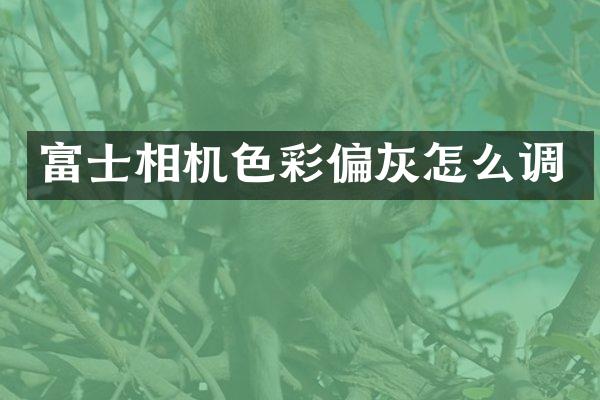 富士相机色彩偏灰怎么调