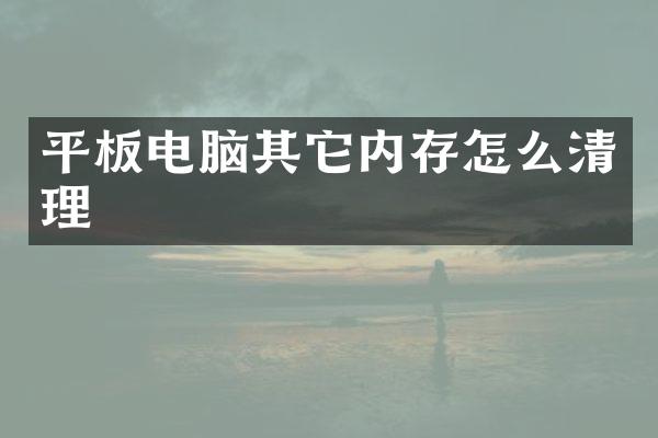 平板电脑其它内存怎么清理