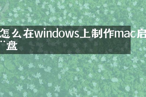 怎么在windows上制作mac启动盘